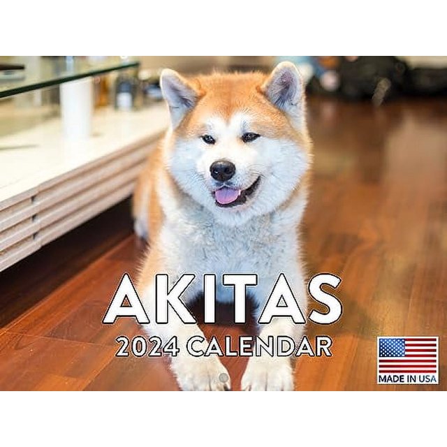 Akita Calendar 2025 Wall Calander