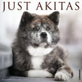 thumbnail image 1 of Akitas 2025 Wall Calendar, 1 of 5