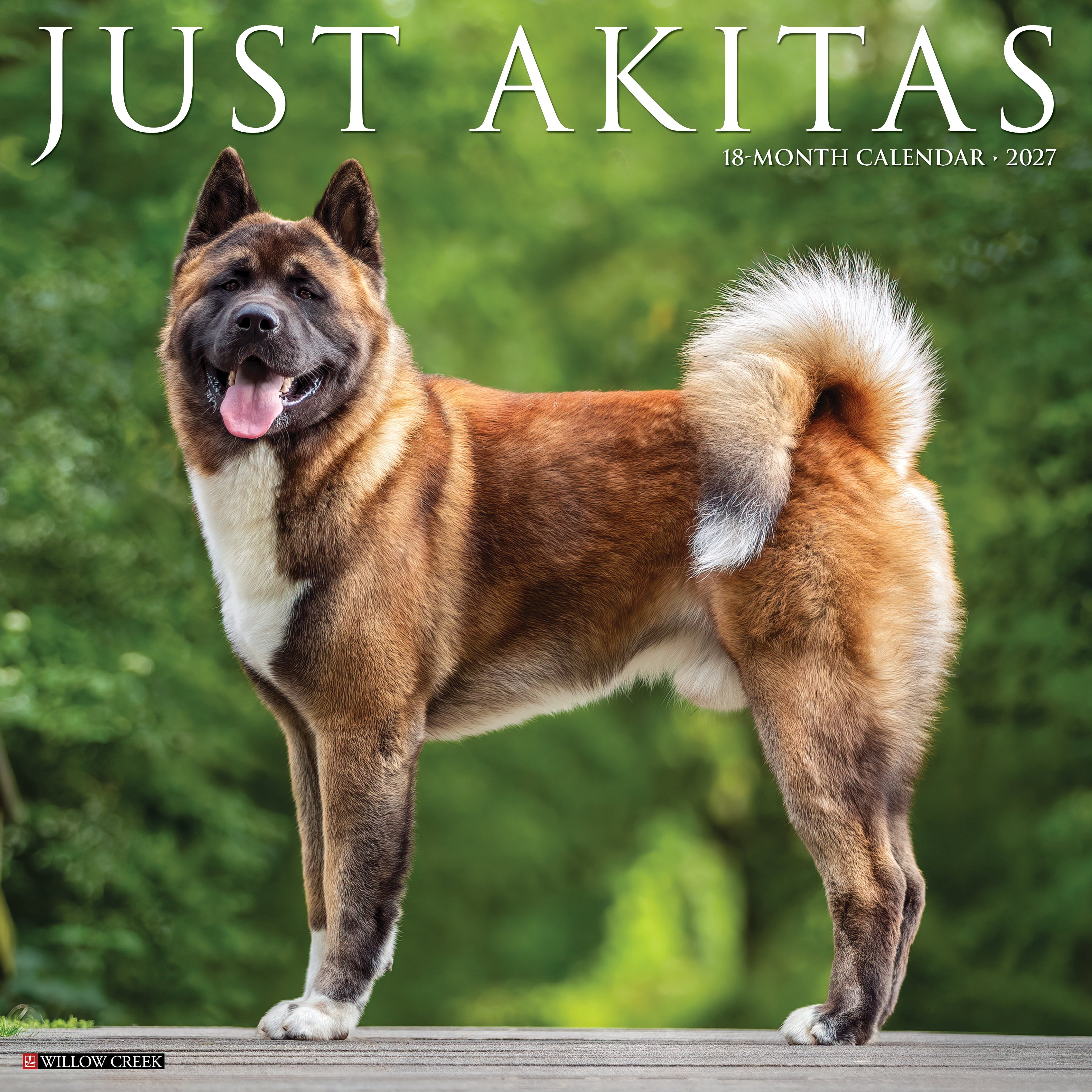Willow Creek Press, Akitas 2027 Wall Calendar