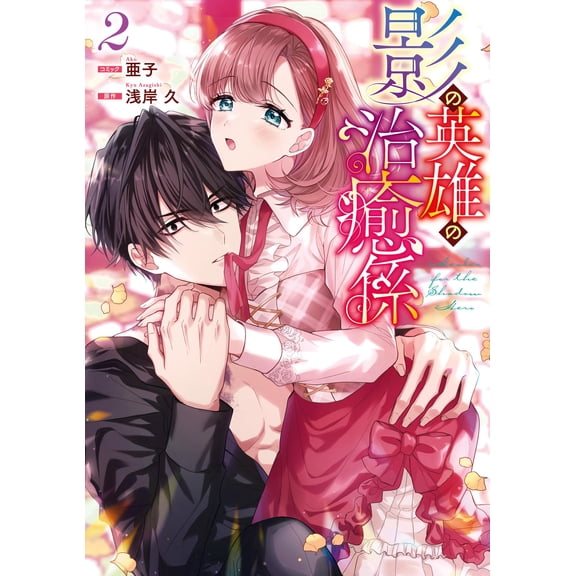 Ako Shadow Hero Healer Volume 2 (Paperback)