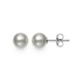 thumbnail image 1 of Akoya Pearl AAA Quality Stud Earring in 14KT White Gold, 1 of 3