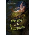 thumbnail image 1 of Akron Poetry The Boy in the Labyrinth: Poems, (Paperback), 1 of 1