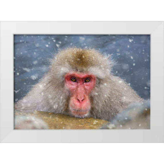 Aktas, Ozan 32x23 White Modern Wood Framed Museum Art Print Titled - Eye Contact
