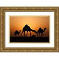 thumbnail image 1 of Al-Ibrahim, Ahmed 18x13 Gold Ornate Wood Framed with Double Matting Museum Art Print Titled - The Desert Ship, 1 of 4