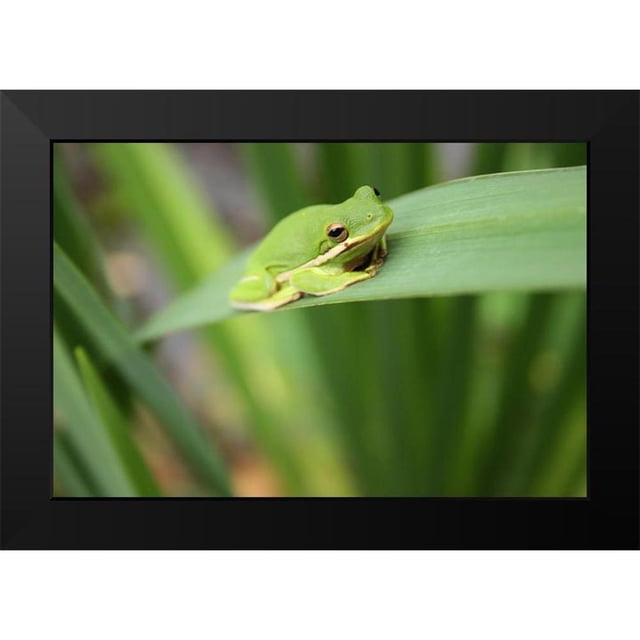 Alabama Picture Archive 14x11 Black Modern Framed Museum Art Print ...
