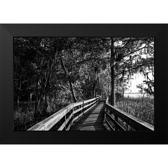 Alabama Picture Archive 14x11 Black Modern Framed Museum Art Print Titled - Historic Blakeley State Park on the Tensaw River