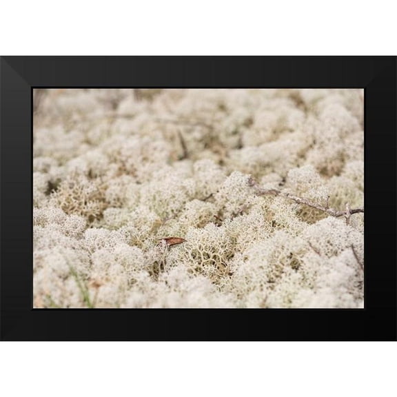 Alabama Picture Archive 14x11 Black Modern Framed Museum Art Print Titled - Moose Moss