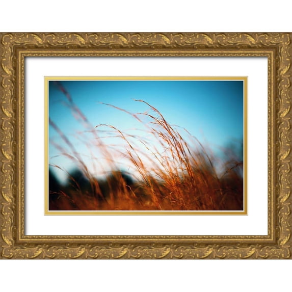 Alabama Picture Archive 14x11 Gold Ornate Wood Framed with Double Matting Museum Art Print Titled - Alabama Grasslands