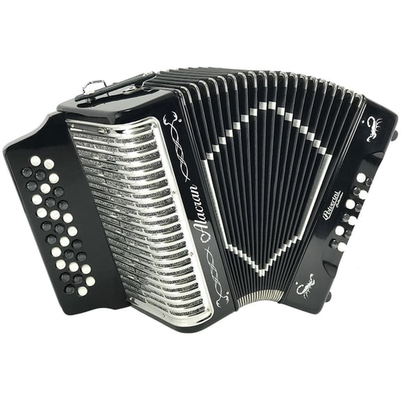 Accordion AL3112 Black with Case