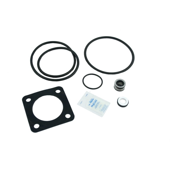 Aladdin Equip Go-Kit 6, Sta-Rite Dura Glas/Maxi Glas