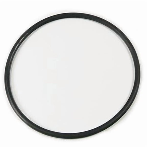 Aladdin Equipment O-12-2 O-Ring for Sta-Rite Max-E-Glass