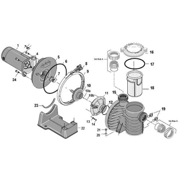 Aladdin Equipment O240 Packaged O Ring for Pentair Ultra Flo