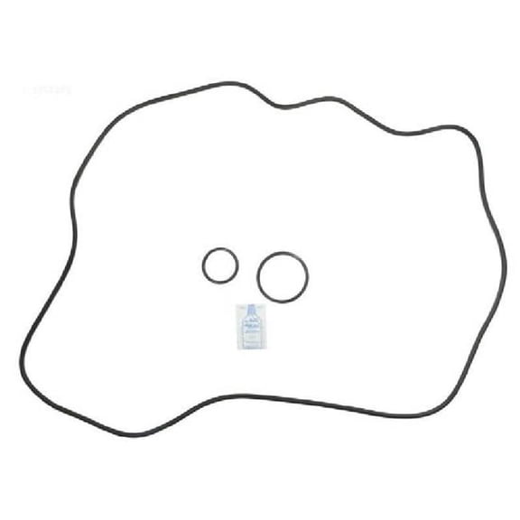 Aladdin Equipment APCK1160 Starite DEP83 O-Ring Kit - APCOKIT472