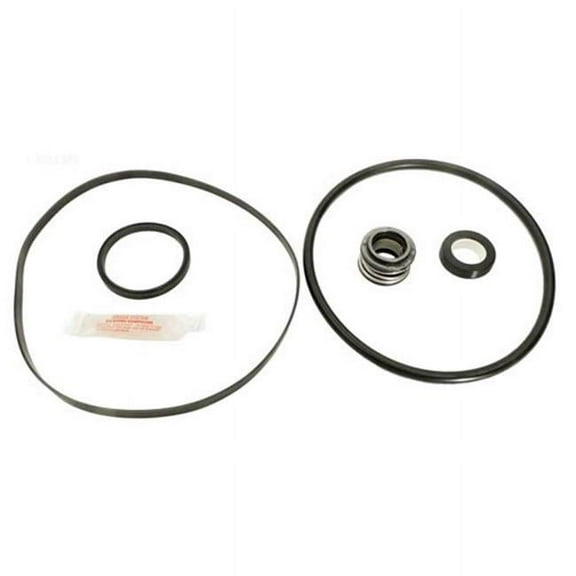 Aladdin GOKIT2 Pool Pump Seal Repair Kit for Hayward Super