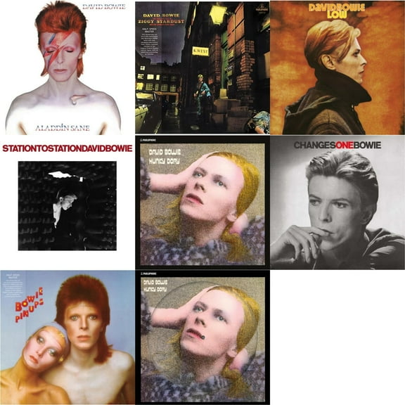 Aladdin Sane & Rise & Fall Of Ziggy Stardust & The Spiders From Mars (2012 Remaster/Half-Speed Master) & Low (2017 Remaster) & Station To Station (2016 Remastered Version) & Hunky [LP Vinyl Bundle]