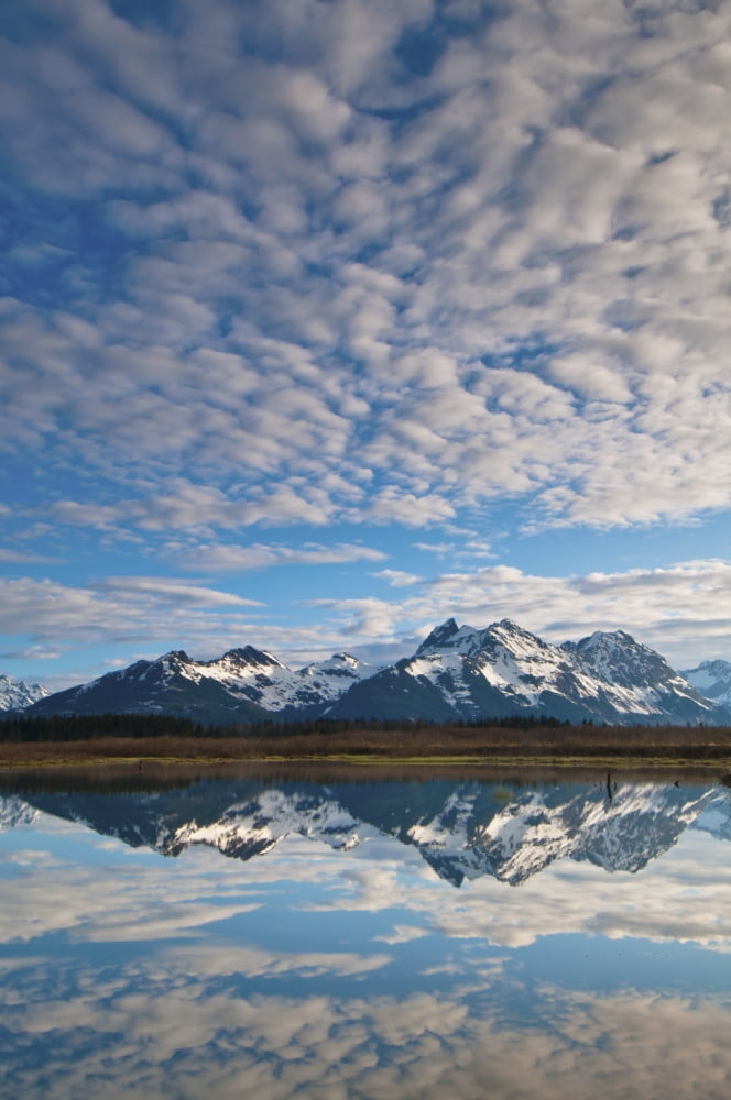 Alaganik Slough Reflecting The Chugach Mountains And Cirrocumulus Clouds In The Morning Chugach National Forest Cordova Southcentral Alaska Spring Canvas Art - Carl Johnson Design Pics (24 x 38)
