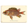 thumbnail image 1 of Alaihi (Holocentrus Diadema) - Hawaiian Squirrel Fish - from Fishes of Hawaii - Vintage Hawaiian Color Postcard c.1905 - 8 x 12 inch Vintage Wood Art Sign, 1 of 4