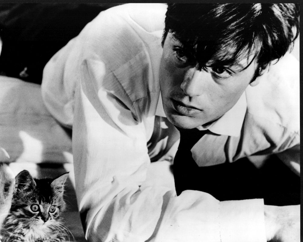 Alain-Delon-And-Cat-In-Black-And-White-Photo-Print-8-x-10-Item-MVM00149_5ff8b6e5-ad24-4ee4-80e1-70bbe0ab3a82.6e644e24131e31efd7402fb95318b398.jpeg