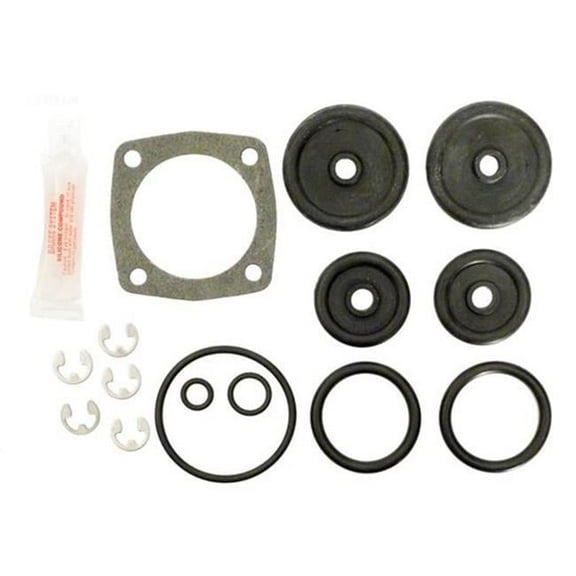 Alakit APCK1017 Pacfab Side Valve Repair Kit