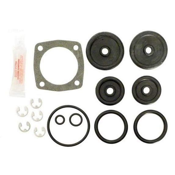 Alakit APCK1017 Pacfab Side Valve Repair Kit