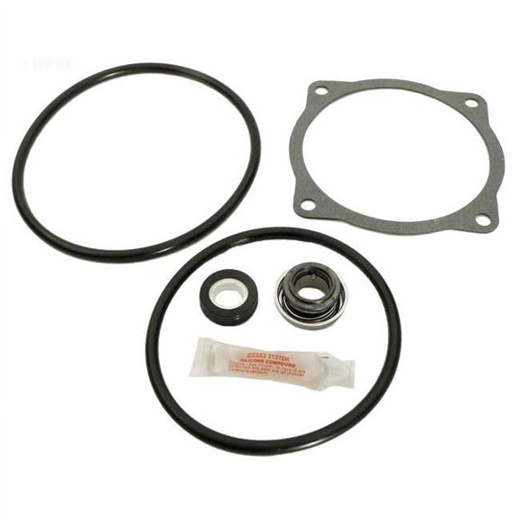 Alakit APCK1020 Sta-Rite CF & CF6 Repair Kit