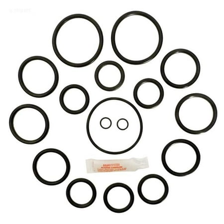 Alakit APCK1021 Sta-Rite & Purex Side Valve Repair Kit