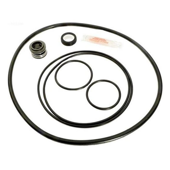 Alakit APCK1041 Dominator Post-95 pump Repair Kit