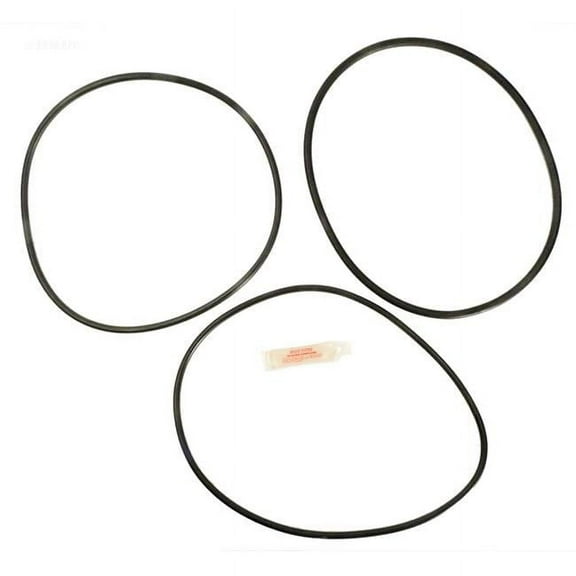 Alakit APCK1122 Sta-Rite PTM70 & 100 O-Ring Kit