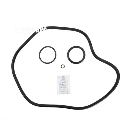 Alakit APCK1142 Pacfab PF100 O-Ring Kit