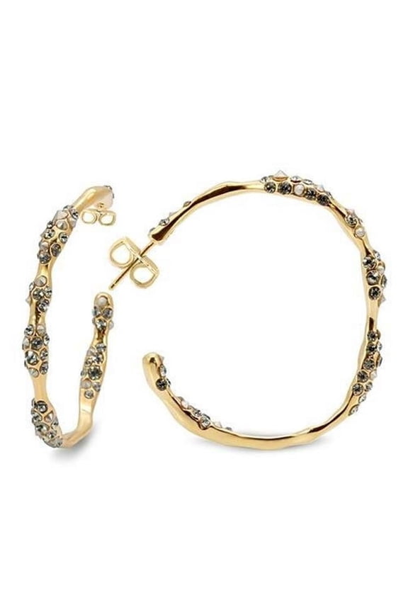 Alamode LO1855 Women Gold Brass Earrings with Top Grade Crystal in Black Diamond