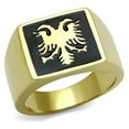thumbnail image 1 of Alamode TK2373-9 Men IP Gold Stainless Steel Ring with Epoxy in Jet - Size 9, 1 of 1