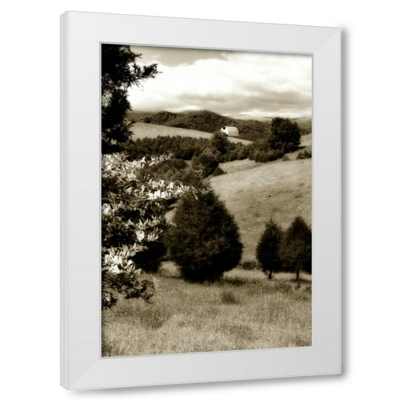 Alan Hausenflock 11x14 White Modern Wood Framed Wall Art Titled - Madison County II