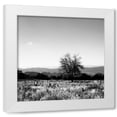 thumbnail image 1 of Alan Hausenflock 12x12 White Modern Wood Framed Wall Art Titled - Big Meadow Square III, 1 of 5