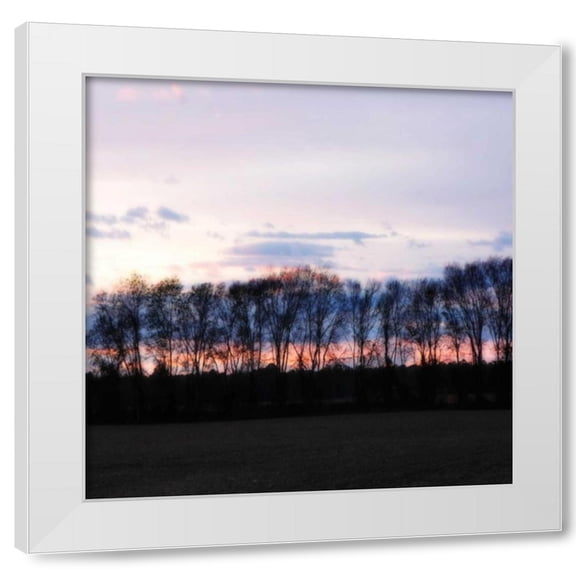 Alan Hausenflock 12x12 White Modern Wood Framed Wall Art Titled - Winter Sunset Square II