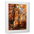 thumbnail image 1 of Alan Hausenflock 13x18 White Modern Wood Framed Wall Art Titled - Autumn Cathedral I, 1 of 5