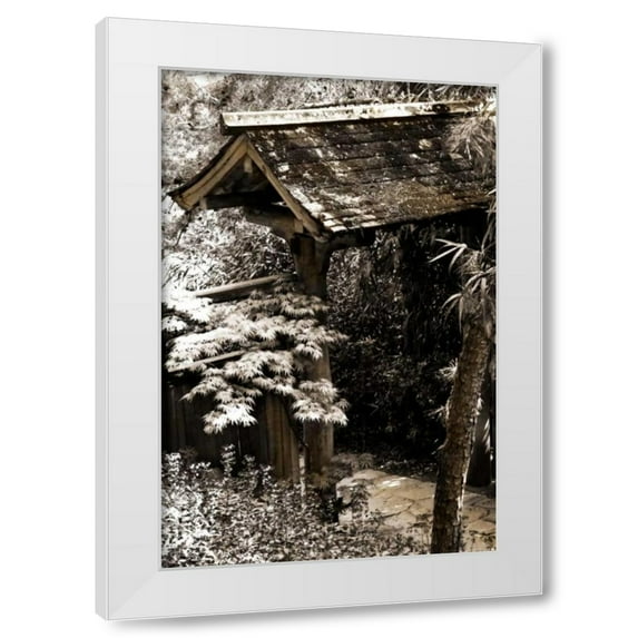Alan Hausenflock 13x18 White Modern Wood Framed Wall Art Titled - Bamboo Garden II