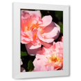 thumbnail image 1 of Alan Hausenflock 13x18 White Modern Wood Framed Wall Art Titled - Wild Roses II, 1 of 5