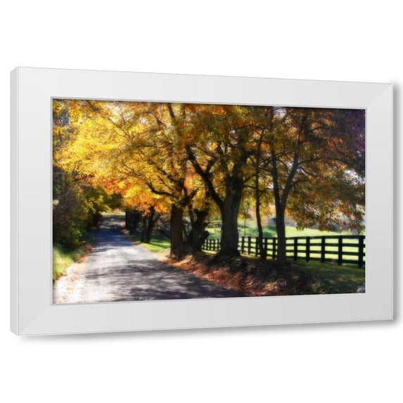 Alan Hausenflock 14x11 White Modern Wood Framed Wall Art Titled - Country Road I