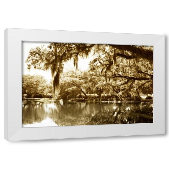 Alan Hausenflock 14x11 White Modern Wood Framed Wall Art Titled - Mossy Lake II
