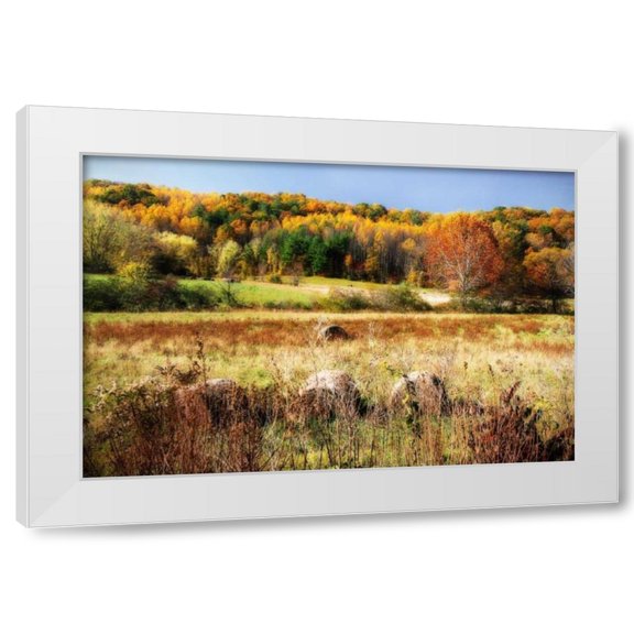 Alan Hausenflock 14x11 White Modern Wood Framed Wall Art Titled - Sperryville Fields II