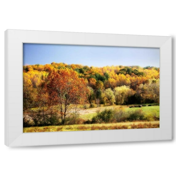 Alan Hausenflock 14x11 White Modern Wood Framed Wall Art Titled - Sperryville Fields I