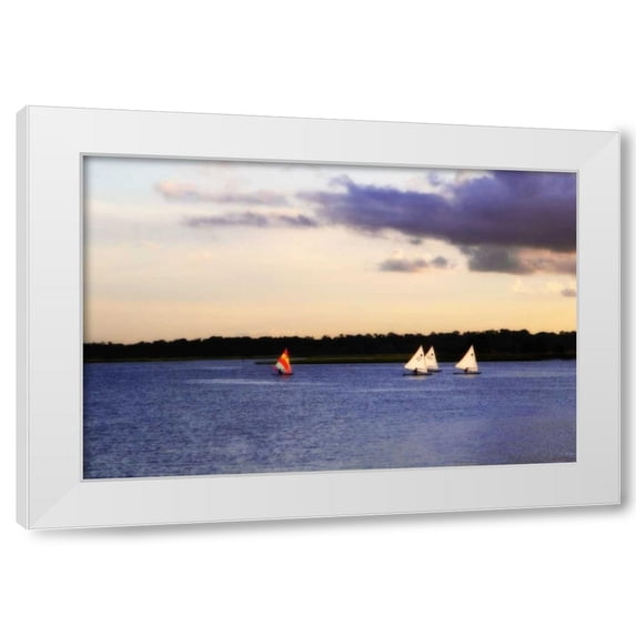 Alan Hausenflock 14x11 White Modern Wood Framed Wall Art Titled - Sunfish Sailors II