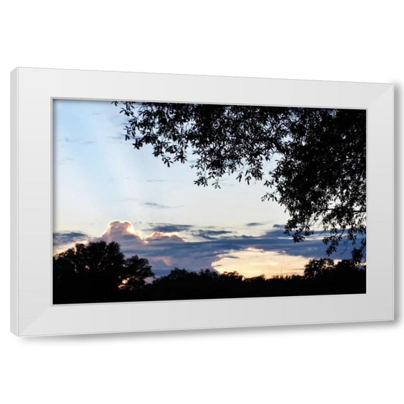 Alan Hausenflock 14x11 White Modern Wood Framed Wall Art Titled - Sunset Through the Trees I