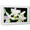 thumbnail image 1 of Alan Hausenflock 14x11 White Modern Wood Framed Wall Art Titled - White Lady III, 1 of 5
