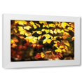 thumbnail image 1 of Alan Hausenflock 18x13 White Modern Wood Framed Wall Art Titled - Autumn Leaves II, 1 of 5