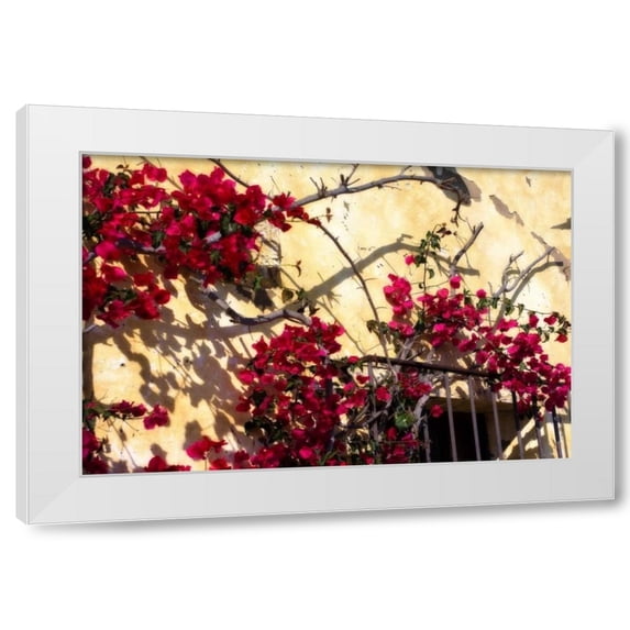 Alan Hausenflock 18x13 White Modern Wood Framed Wall Art Titled - Flowers of Carmel II