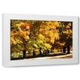 thumbnail image 1 of Alan Hausenflock 18x13 White Modern Wood Framed Wall Art Titled - Sugar Maples I, 1 of 5