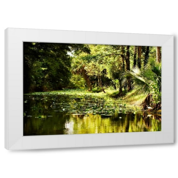 Alan Hausenflock 18x14 White Modern Wood Framed Wall Art Titled - Silver River III