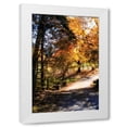 thumbnail image 1 of Alan Hausenflock 23x32 White Modern Wood Framed Wall Art Titled - Autumn on Kent Farm III, 1 of 5