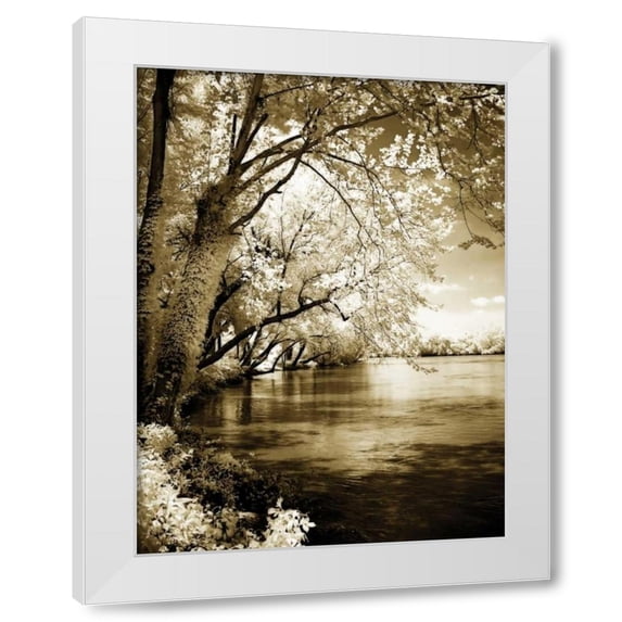 Alan Hausenflock 25x32 White Modern Wood Framed Wall Art Titled - Spring on the River I